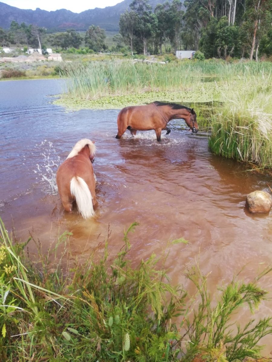 To Let 2 Bedroom Property for Rent in High Riding Country Estate Western Cape